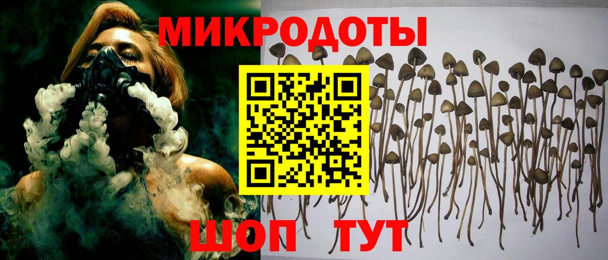 Псилоцибиновые грибы Magic Shrooms Нефтеюганск