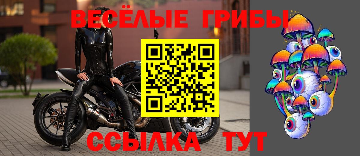 Нефтеюганск  Псилоцибиновые грибы MAGIC MUSHROOMS  Вход с VPN 